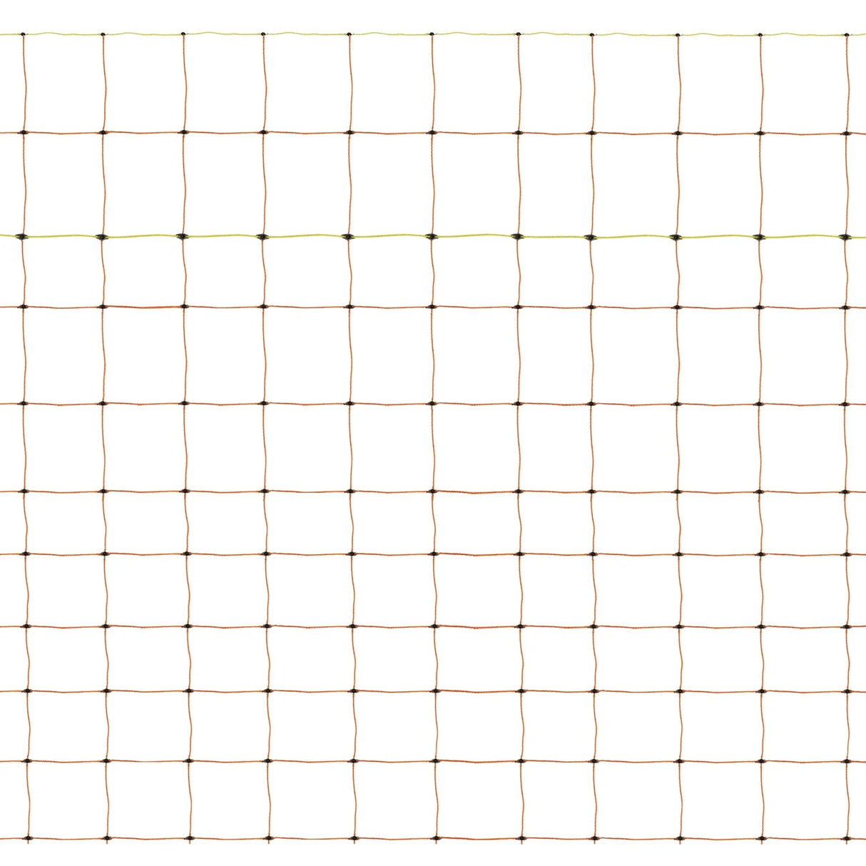 Electric Poultry Netting - 50m