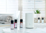 Halo Home Diffuser - Waterless Scented Oil Diffuser