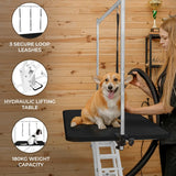 White Hydraulic Grooming Table - Black Table Top