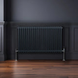 Traditional 2 Column Radiator - 600 x 1012mm - Anthracite Grey