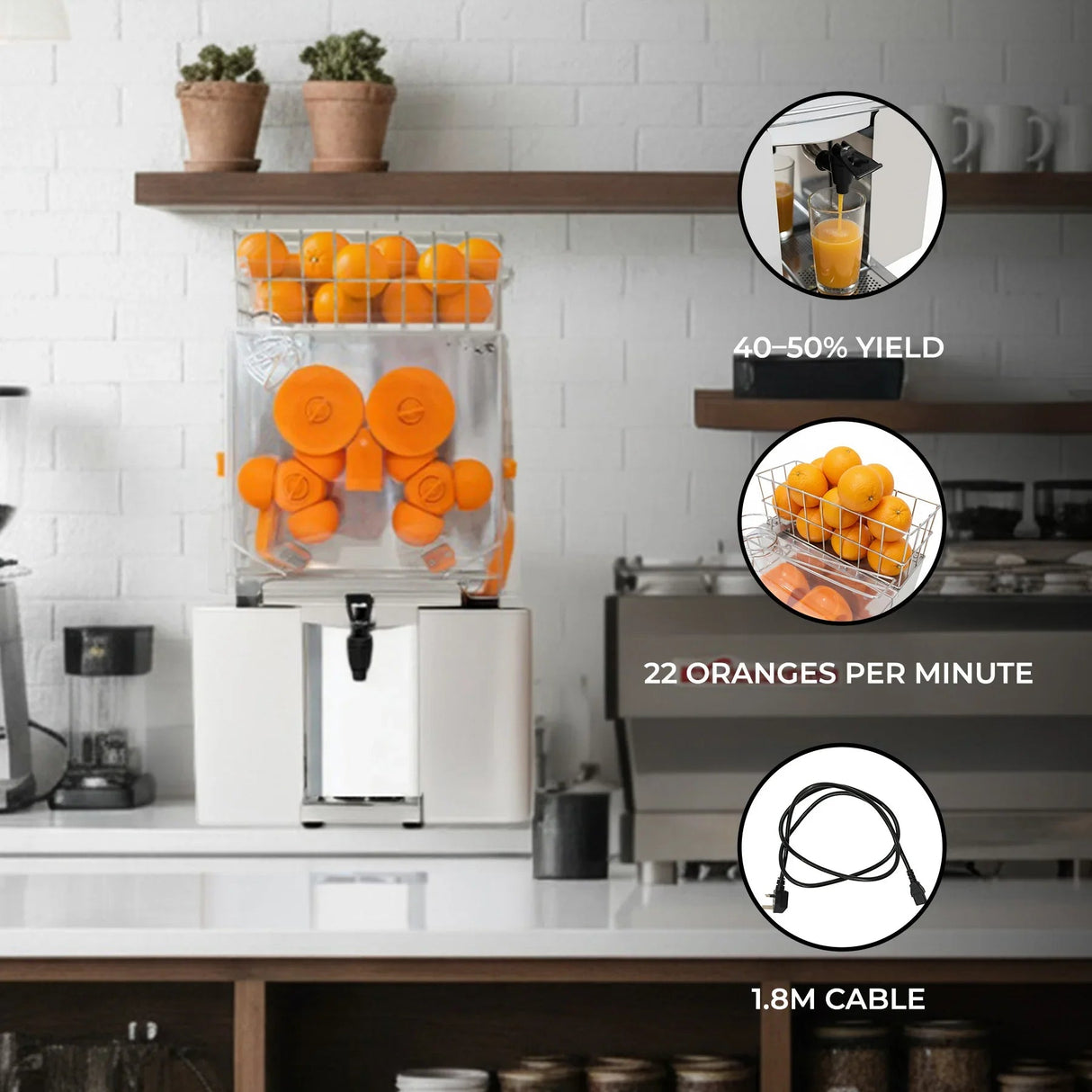Commercial Fruit Juicer