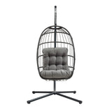 Rattan Hanging Egg Chair – Black