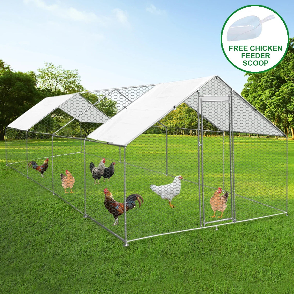 Chicken Run 4m x 8m x 2m