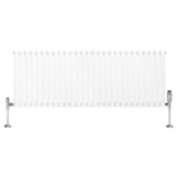 Oval Single Column Radiator & Valves – 600mm x 1620mm – White