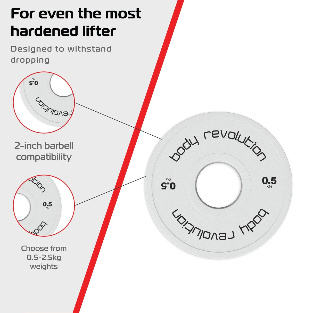 2 x 0.5kg Fractional Bumper Plates