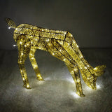 Light up Reindeer Gold Stag & Doe Set